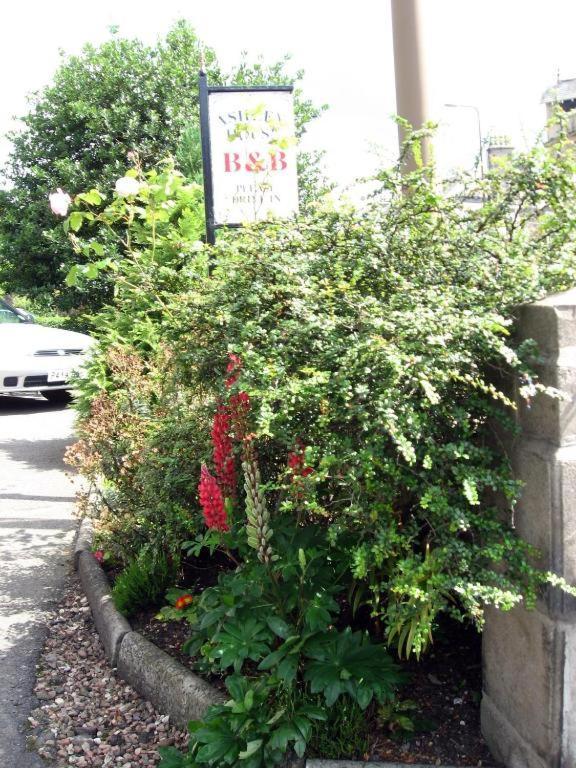 Ashley House Bed & Breakfast Dundee Exterior photo